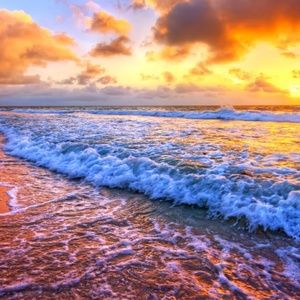 Meet your Posher, Klaudia